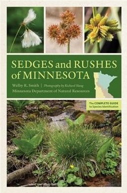 Sedges and Rushes of Minnesota - Minnesota Native Plant Society